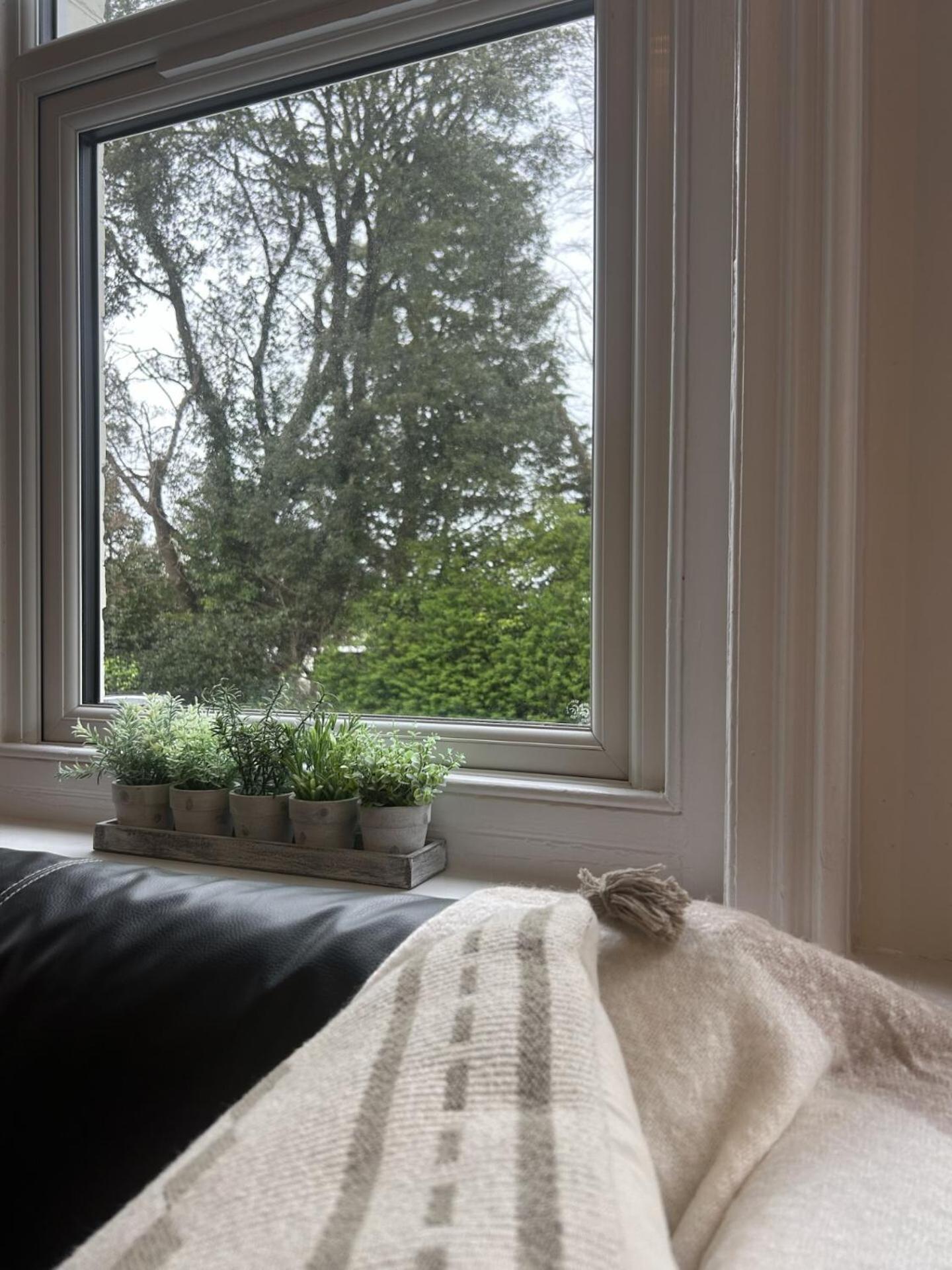 Treetop View Cosy Getaway In Eastbourne, Free Parking, Short And Long Stays, Habitación foto